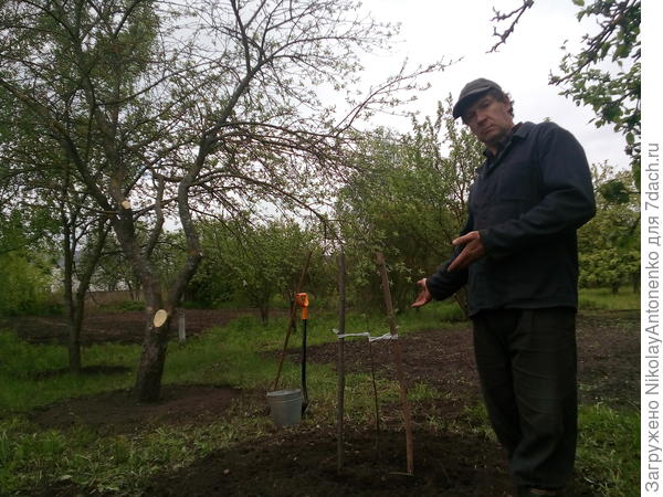 Урочище чижовская дача фото