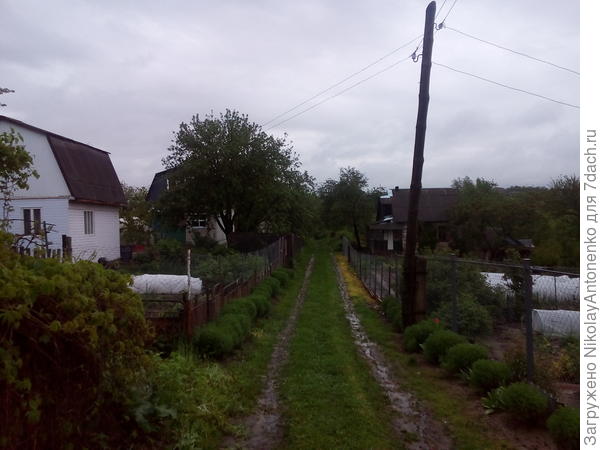 Зарядили дожди. Коварная ловушка для машин.