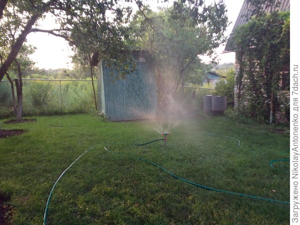 Капельное орошение верхней лужайки