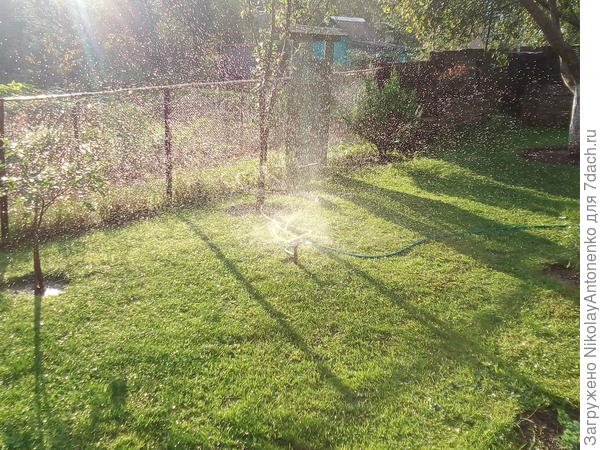 &quot;Фонтаны ультрофиолета включает в небе по утрам&quot;