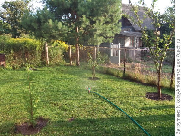 Орошение нижней лужайки