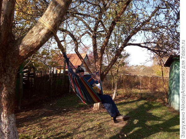 октябрь, гамак