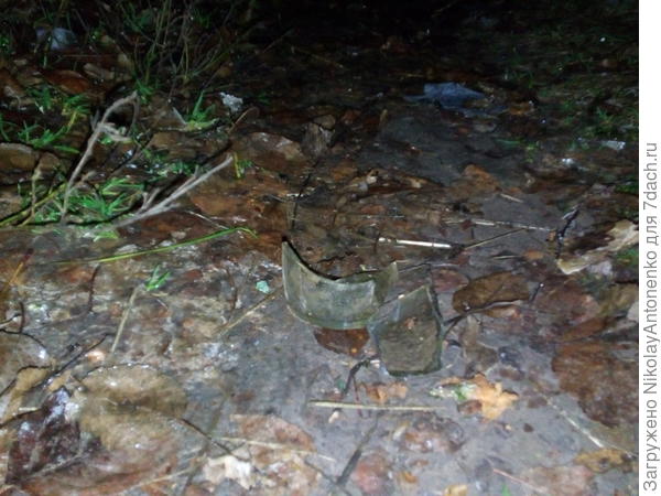 Осколки на тропинке
