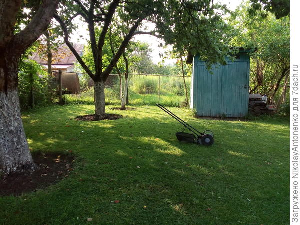 Газонокосилка шпиндельного типа