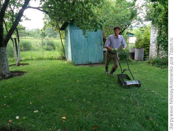 Стрижка газона