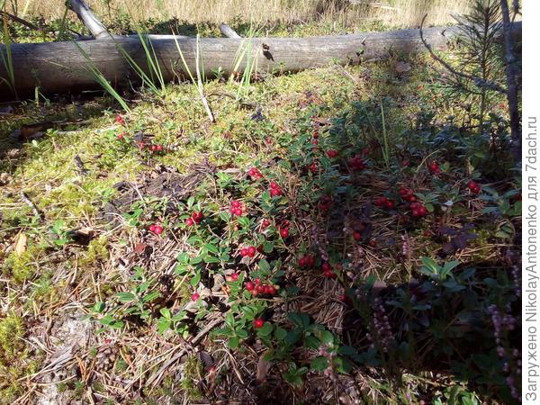 2fb5a1ada9afcfa812f9fa8e514eb89b5f6af841