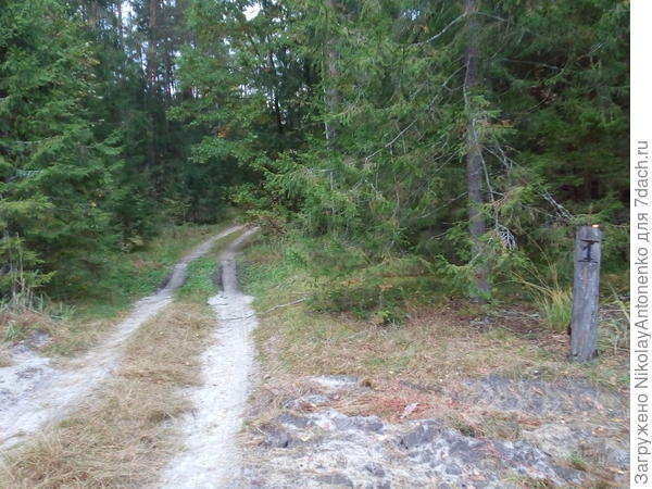 Столб 1-го квартала