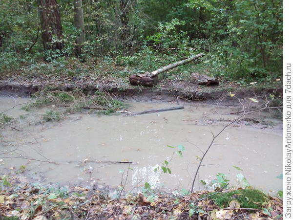 Видимо, в луже застряла машина.