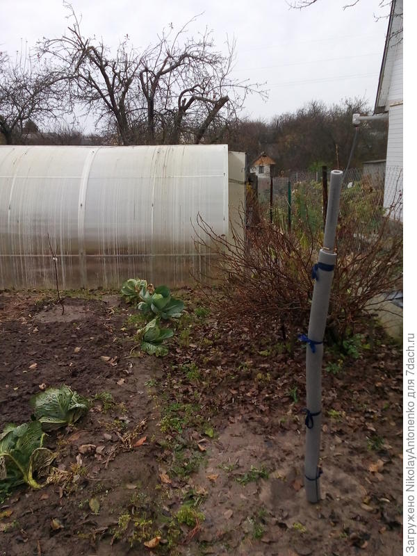 Укрыл на зиму саженцы утеплителем для труб.