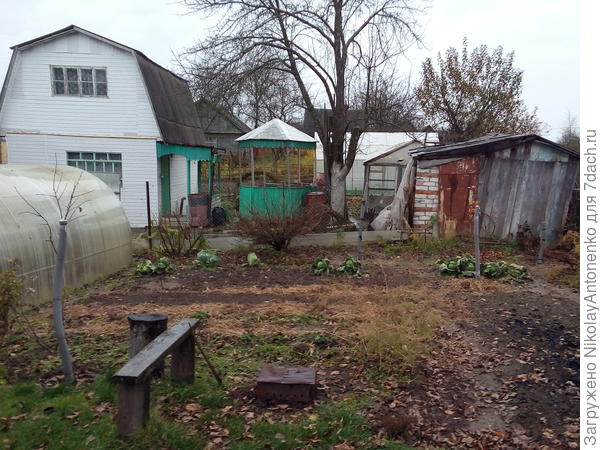 укрытые саженцы с видом на соседский участок