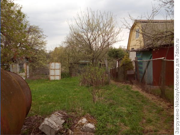 Строительный мусор - огромные, неподъёмные глыбы, кусты смородины и дерево сливы занимают проход. Слева цистерны, справа наш участок. Внизу домик Анатолия Ивановича.
