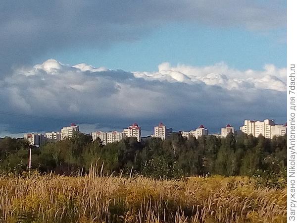 Вид на город