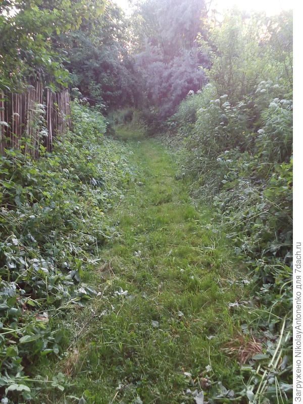 Покошенная дорожка