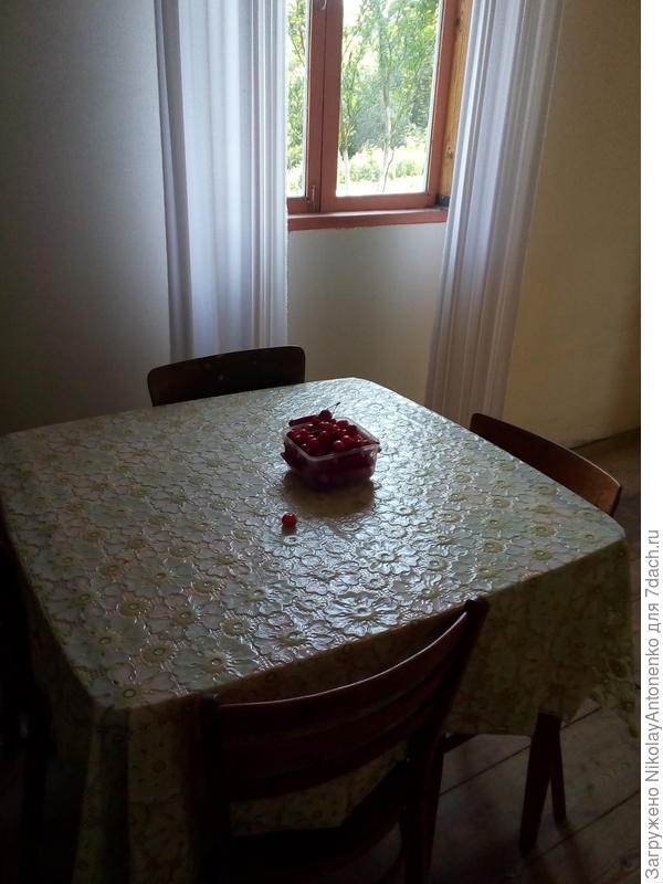 Июль. Черешня. Летняя резиденция.