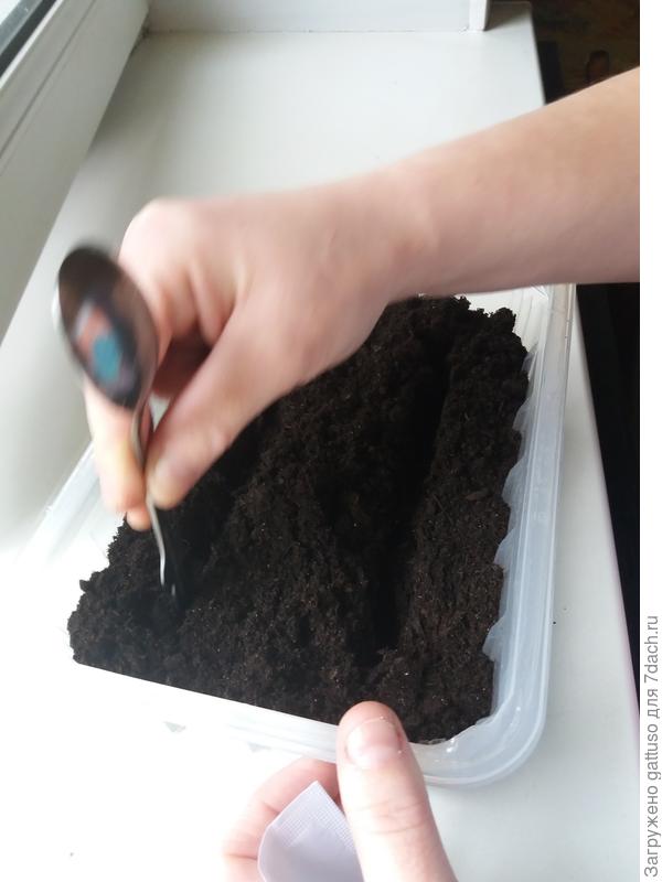 теперь ждемс)