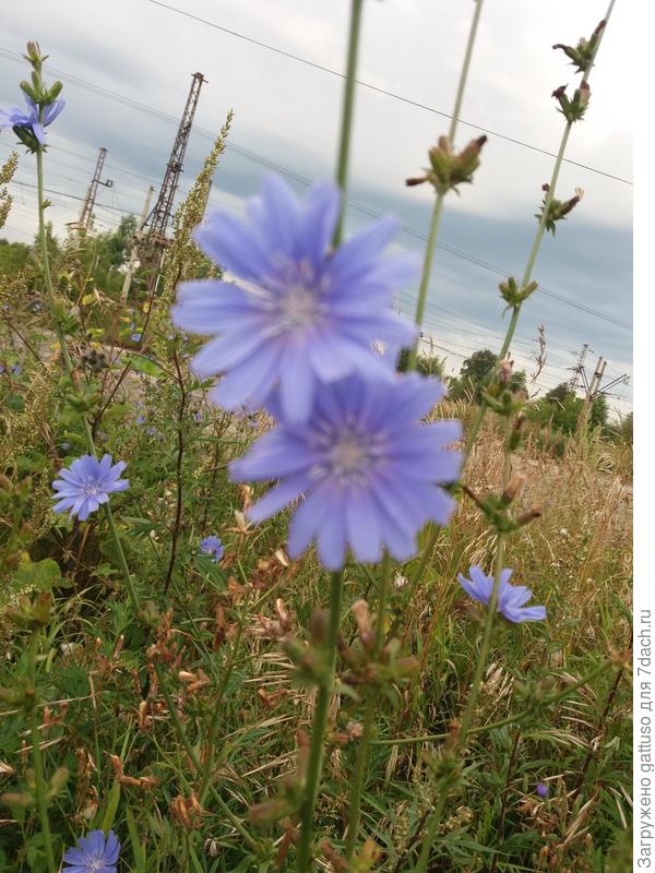 Проважают на работу:)