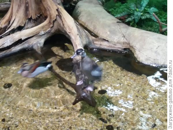 и не чего не получилось))