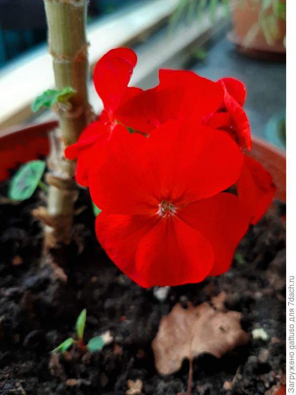 Счасть,тепла и больше радости))