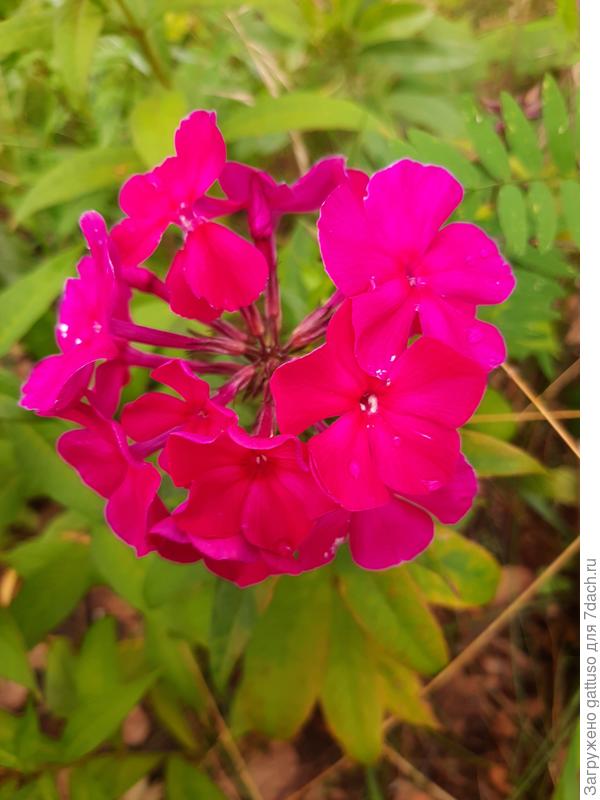 С Днем Рождения)))) всего самого   самого))))