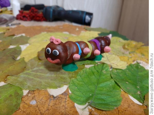 Гусенница вообще у нас умница.