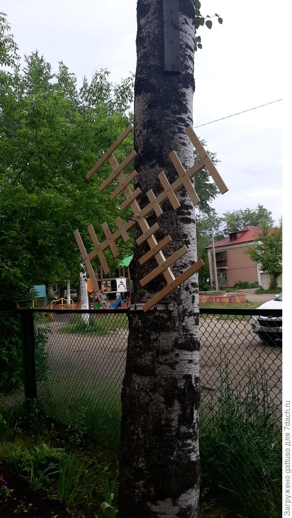 Надо было так оставить🤣🤣🤣🤣