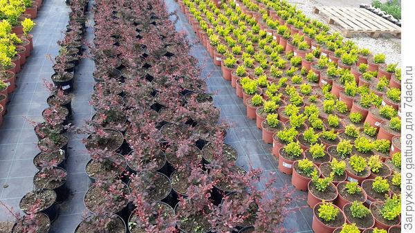 Очень доволен увиденной красотой