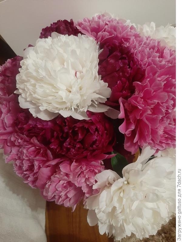 Уже нарезали