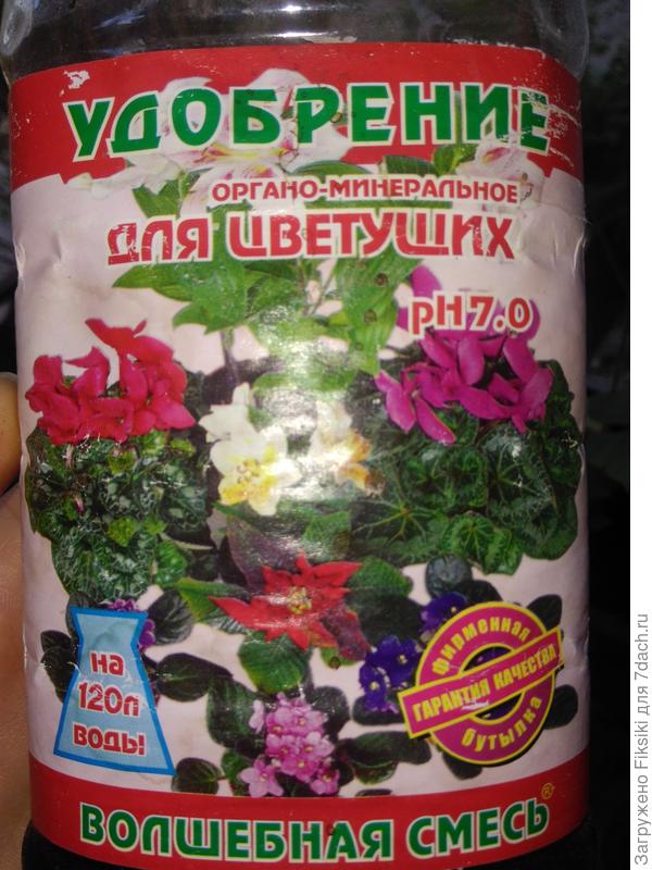 Этим поливаю, на 2л неполный колпачок