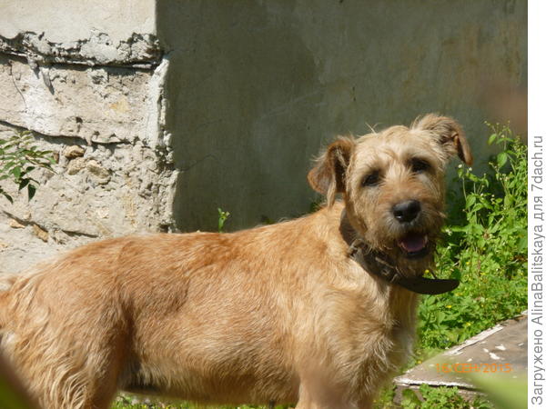 Летом хорошо.