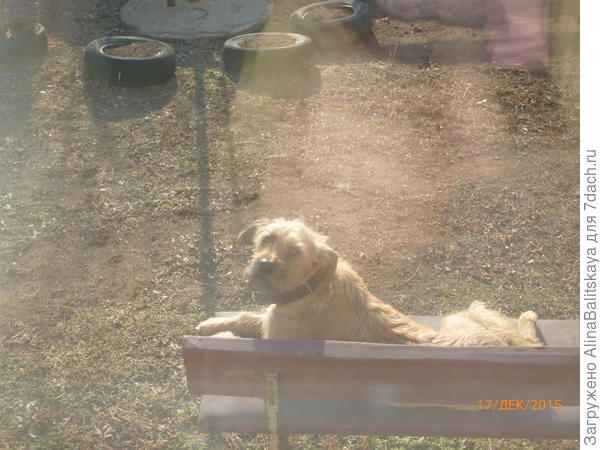 Греется на солнышке.