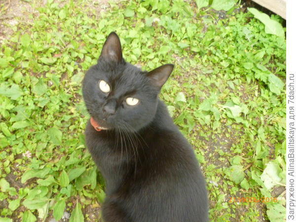 Куда дальше пойдем?