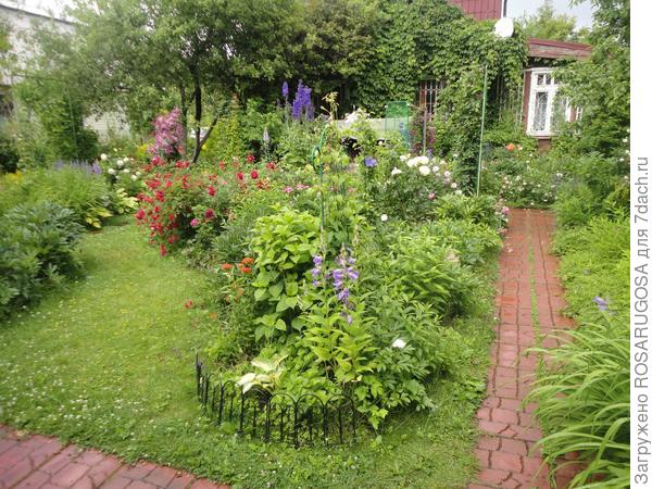 Дорожки в саду, вымощенные плиткой. Фото автора