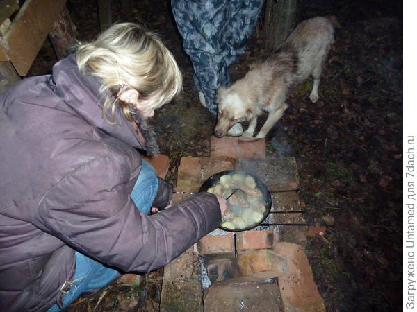 Какие ароматы......так, вон ту жирную колбасину надо будет незаметно утащить....когда они забудут про еду и будут свои дзинь делать?