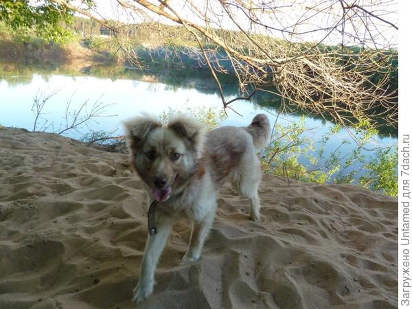 Хозяйка, пляж я проверила. Ну как-то он совсем не готов для купания. Может другой поищем?