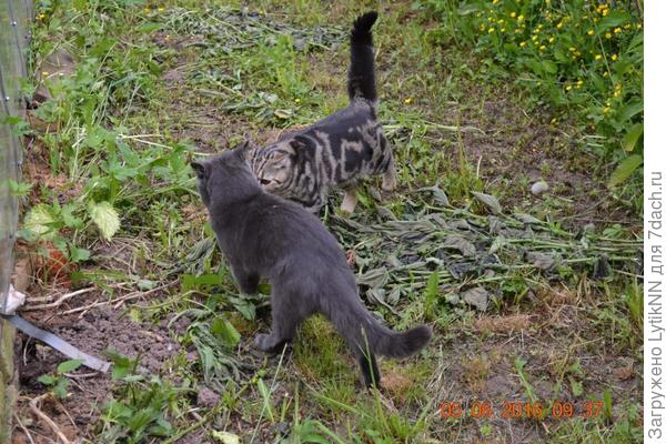 "Тёма!? Друг! Ты ли это?"