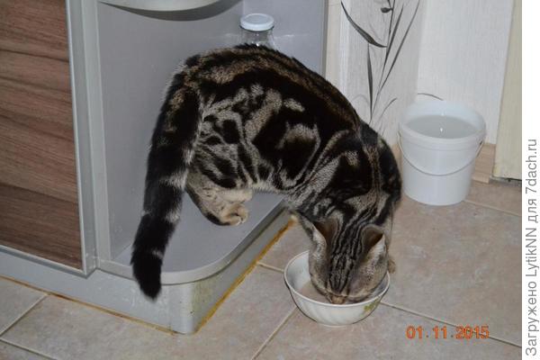 Так оно вкуснее!