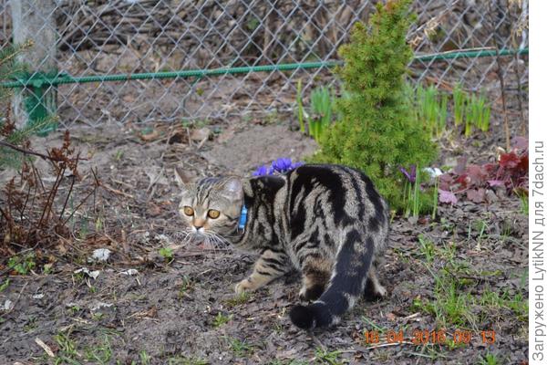 Из серии "Ой, страшно, страшно!"