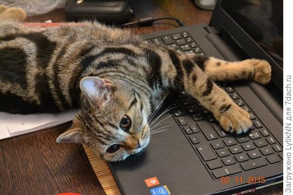 Блокировка клавиатуры