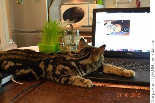 "Не меня ли показывают?"