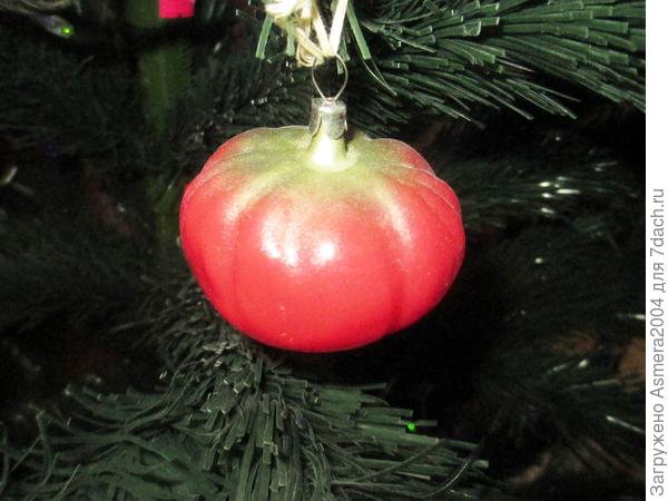 помидор...родом из детсва