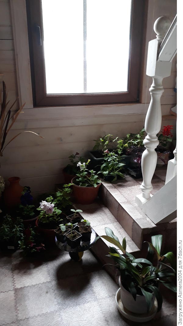 Часть в доме,часть  в душе..