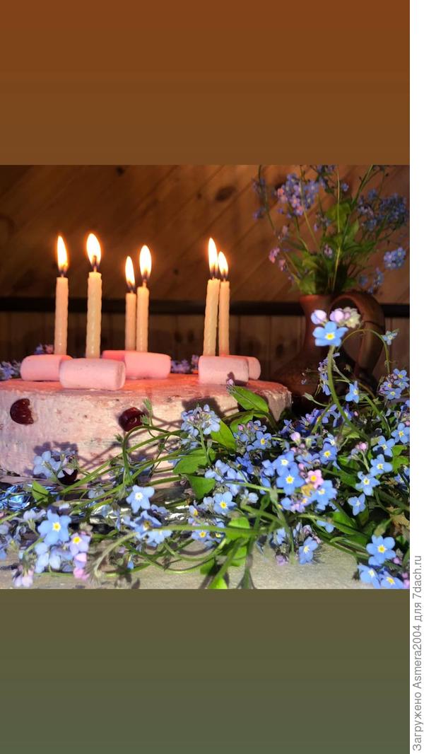 Торт сделали для меня мои девочки