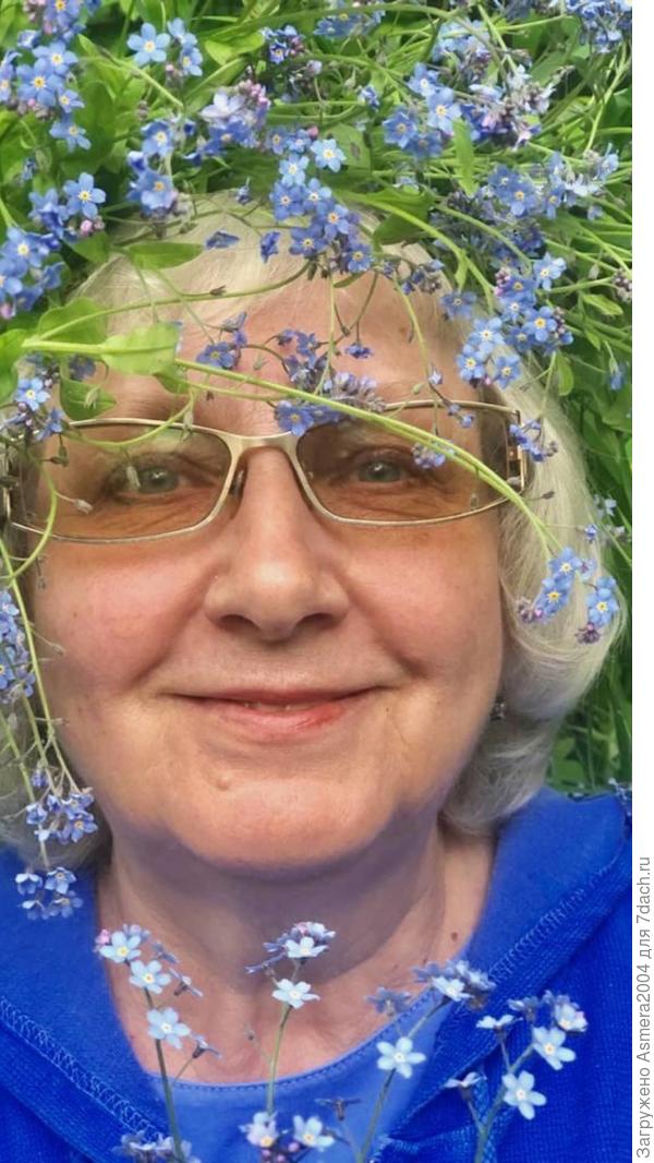 И подарили мне незабудковое настроениее