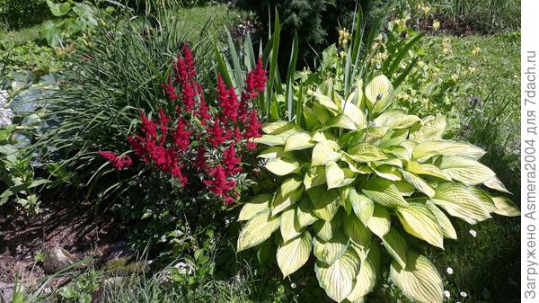 Контраст цветов