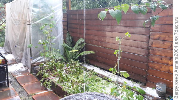 Вот такой он у нас умный)