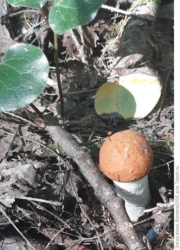 Красота то какая!