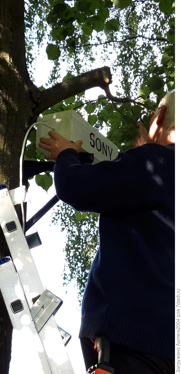 скворечник