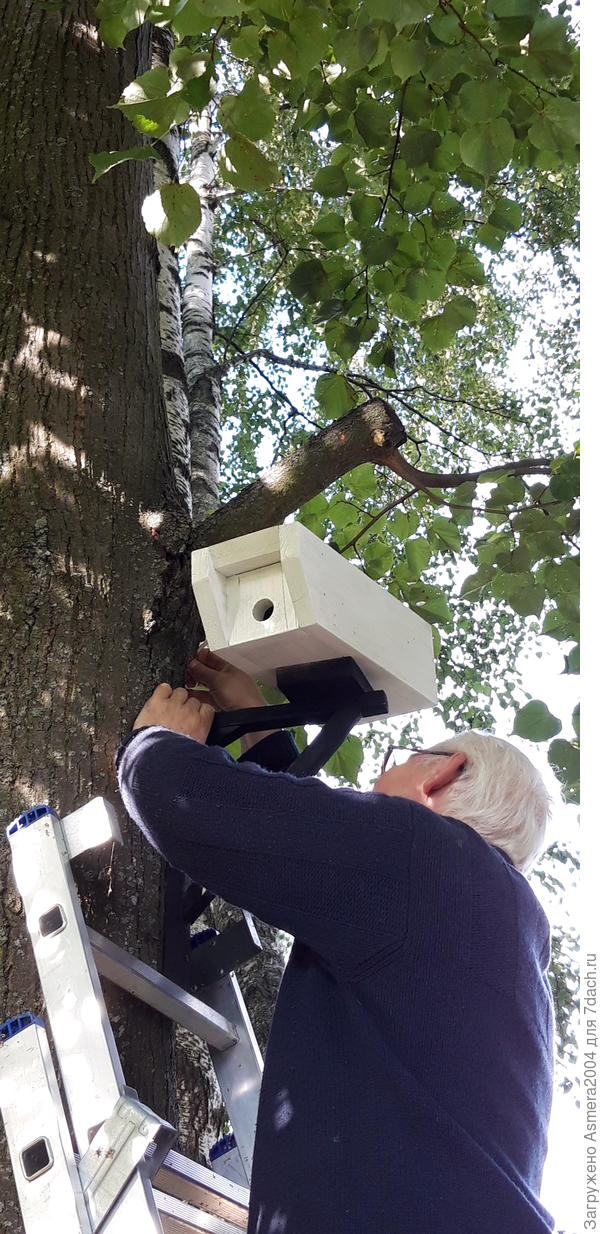 скворечник