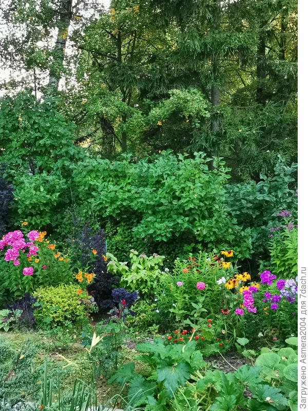 А из нашего окна..