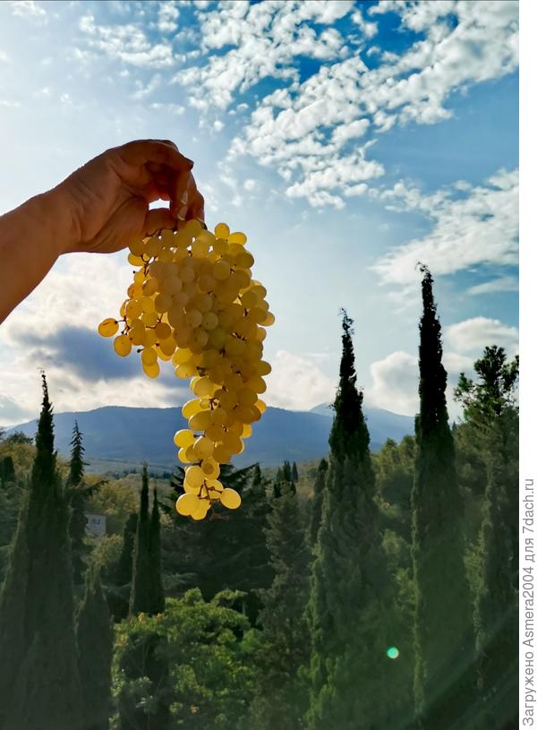 Золото Крыма